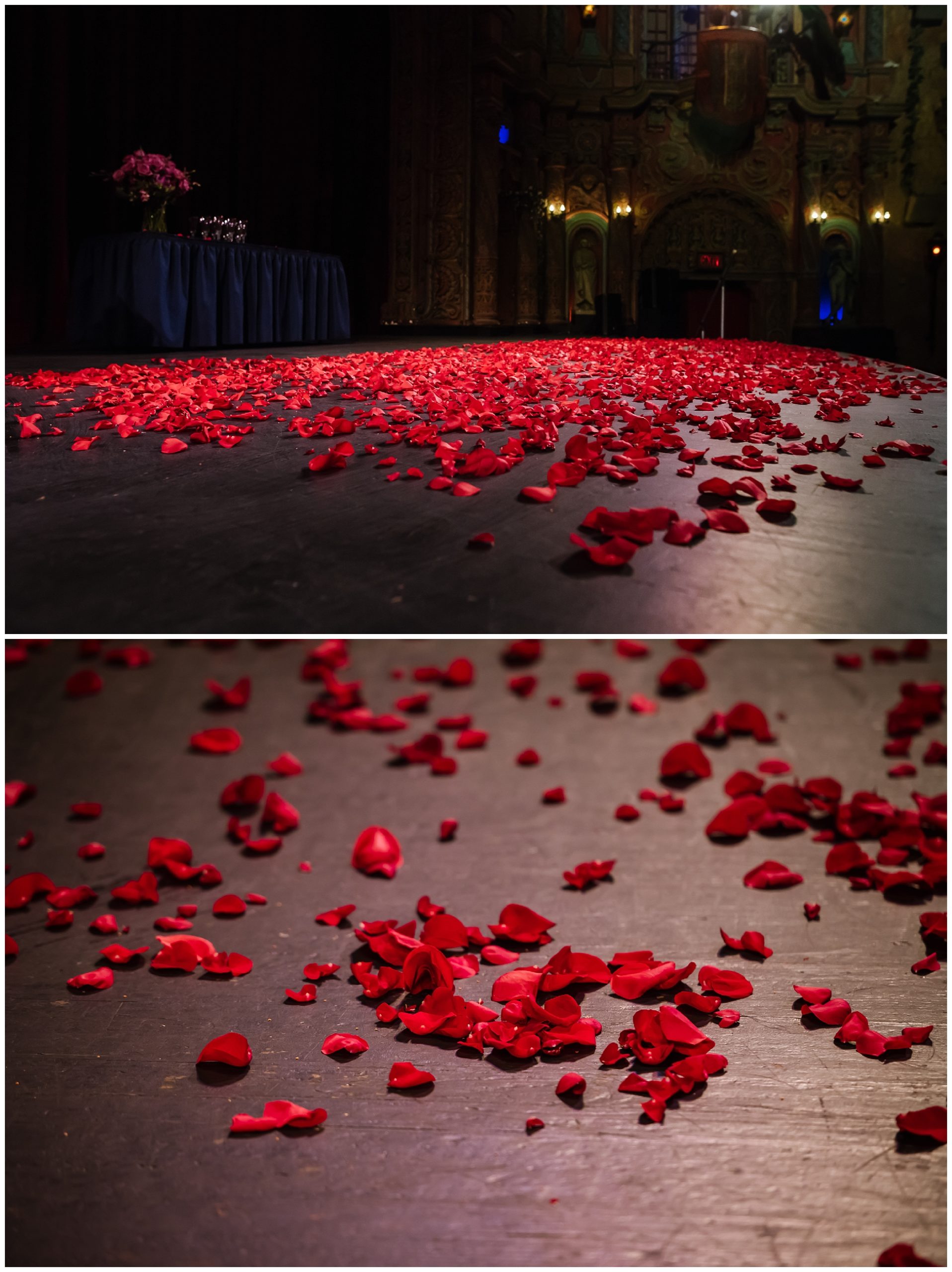 tampa-theater-romantic-surprise-proposal-red-roses-photographer_0001.jpg