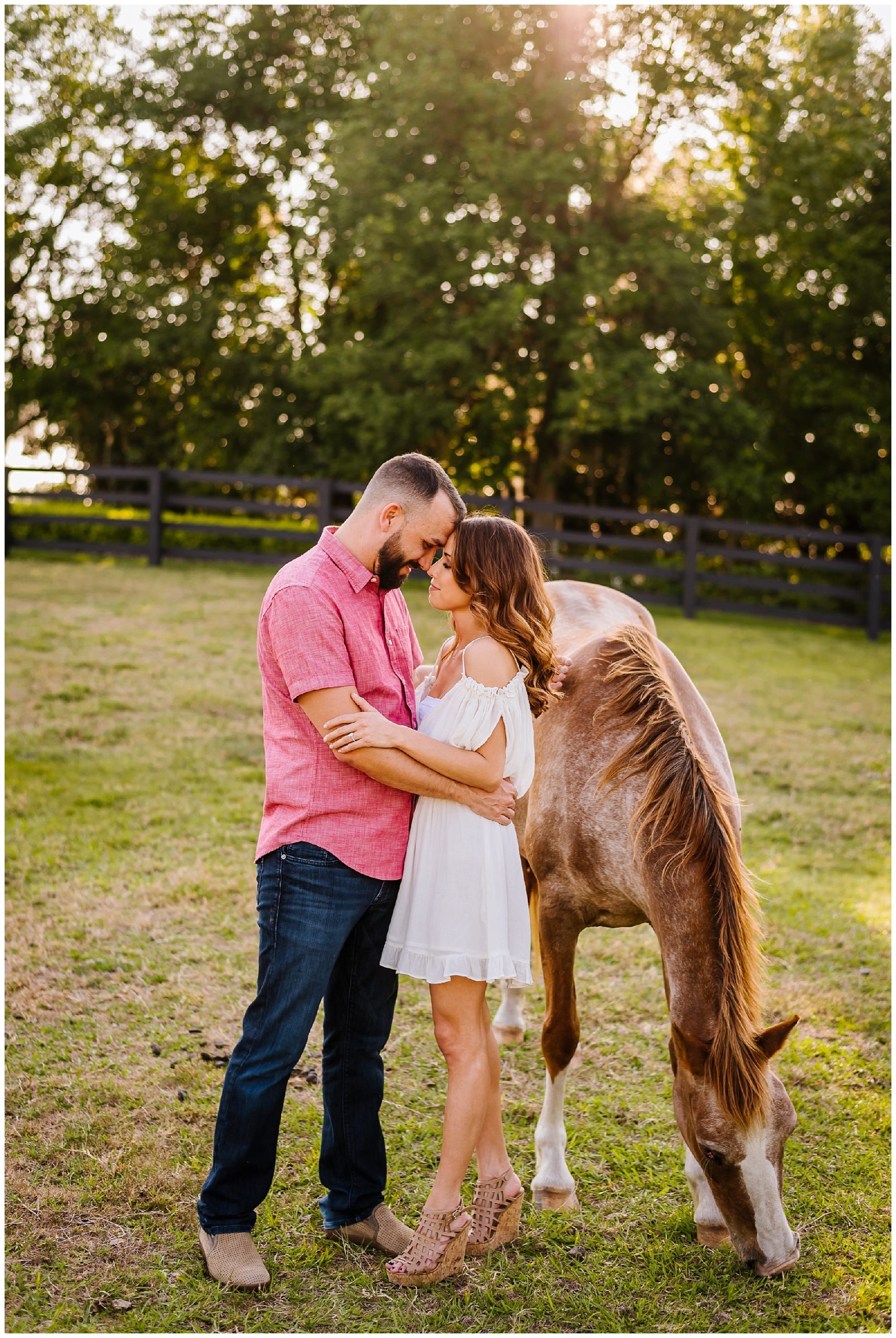 Tampa-sunset-horse-engagement session_0032.jpg