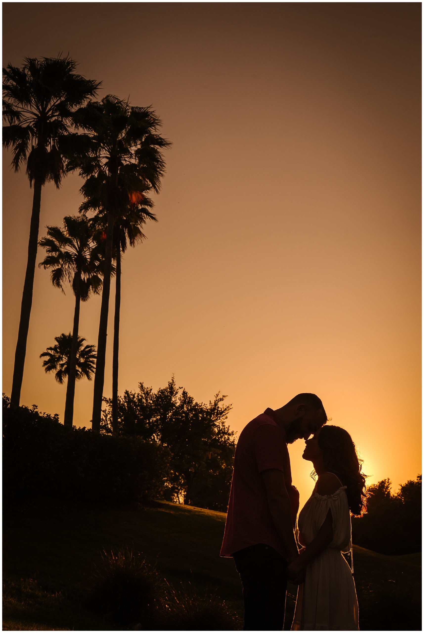 Tampa-sunset-horse-engagement session_0062.jpg