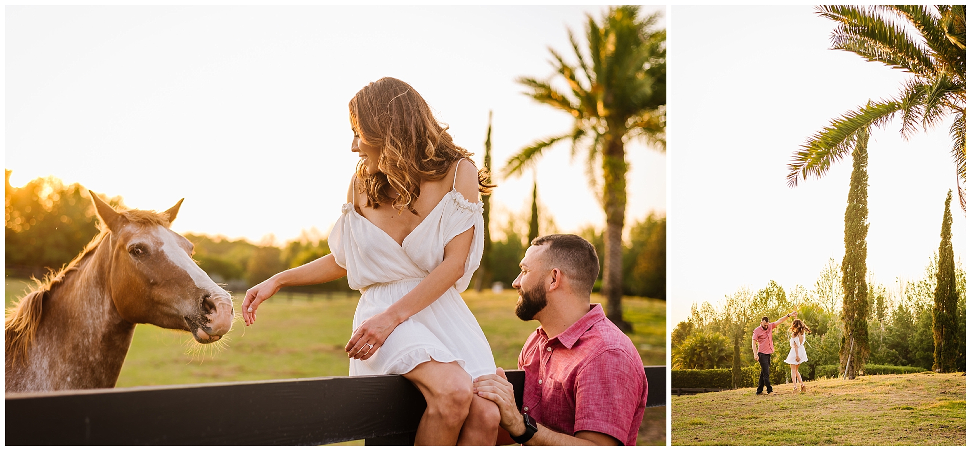 Tampa-sunset-horse-engagement session_0065.jpg