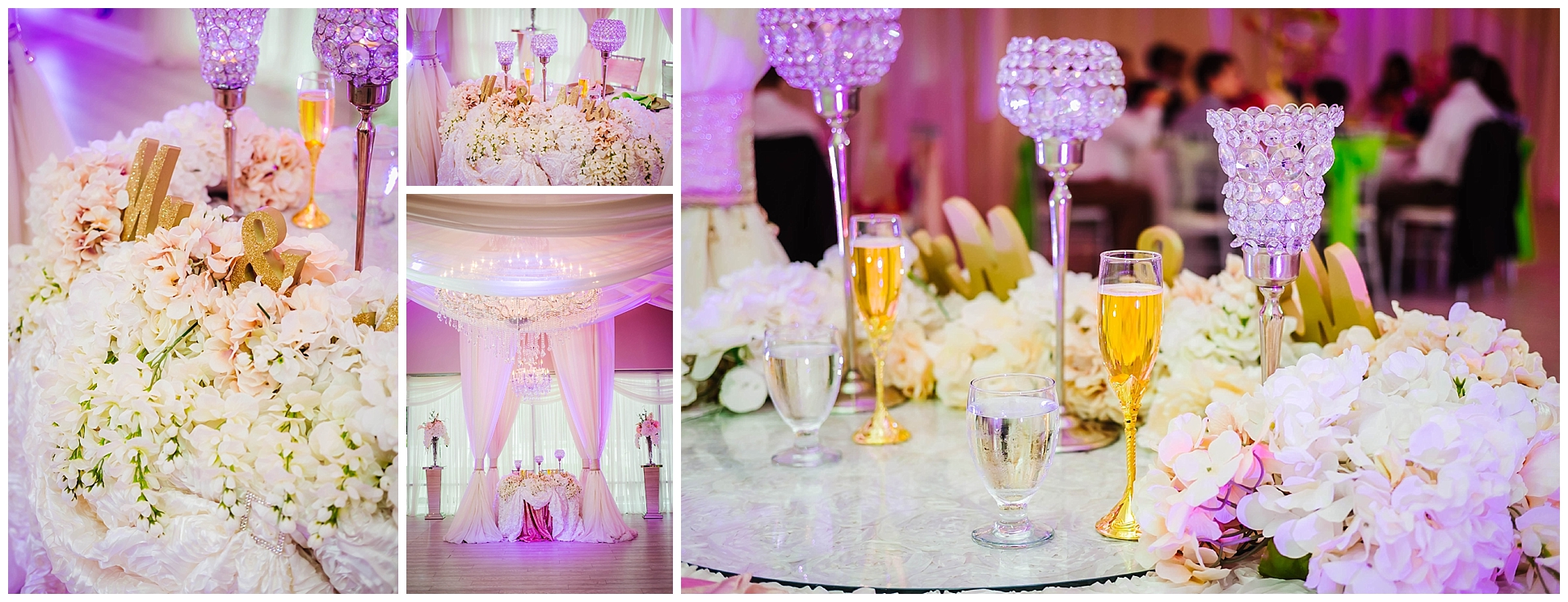 st-pete-wedding-photographer-sunken-gardens-crystal-ballroom-princess-dancer_0177.jpg