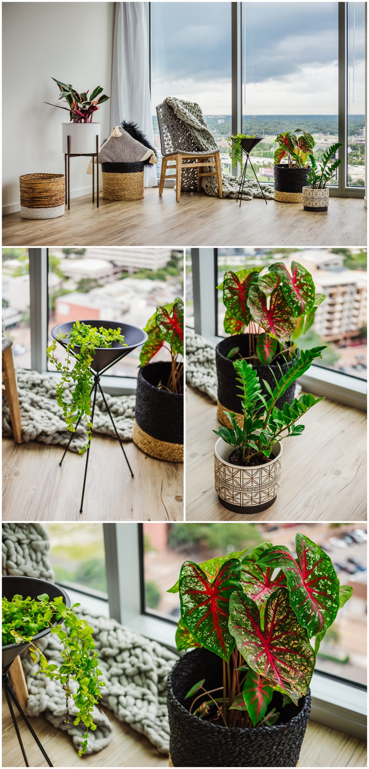 ann-cox-design-planter-accessories-tampa-interior_0011.jpg