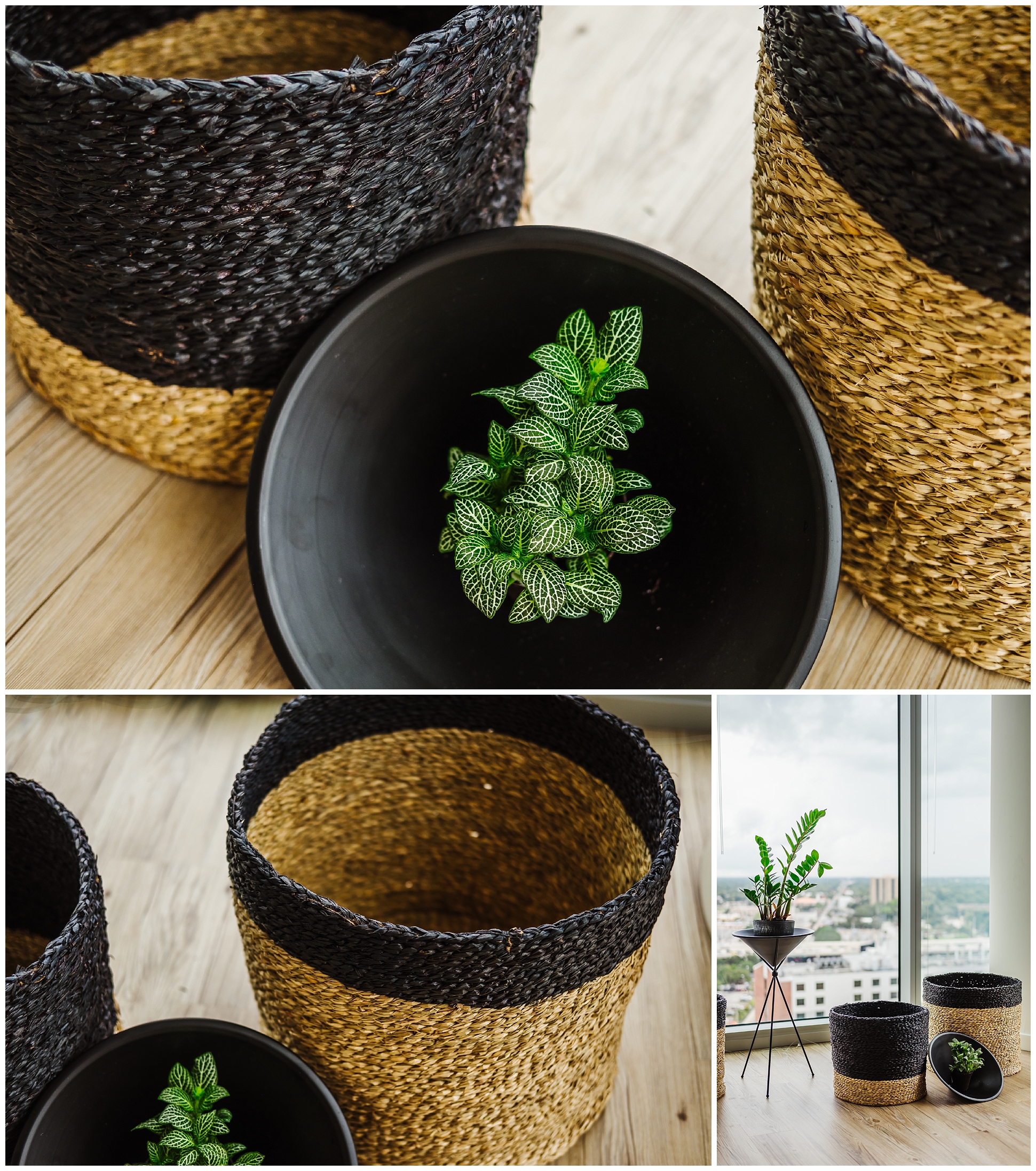 ann-cox-design-planter-accessories-tampa-interior_0016.jpg