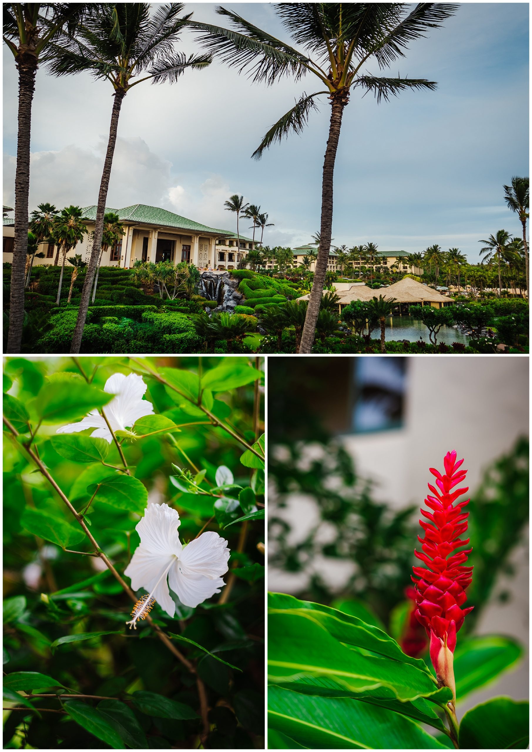destination-wedding-hawaii-kauai-grand-hyatt-resort-napali-coast-sail_0017.jpg