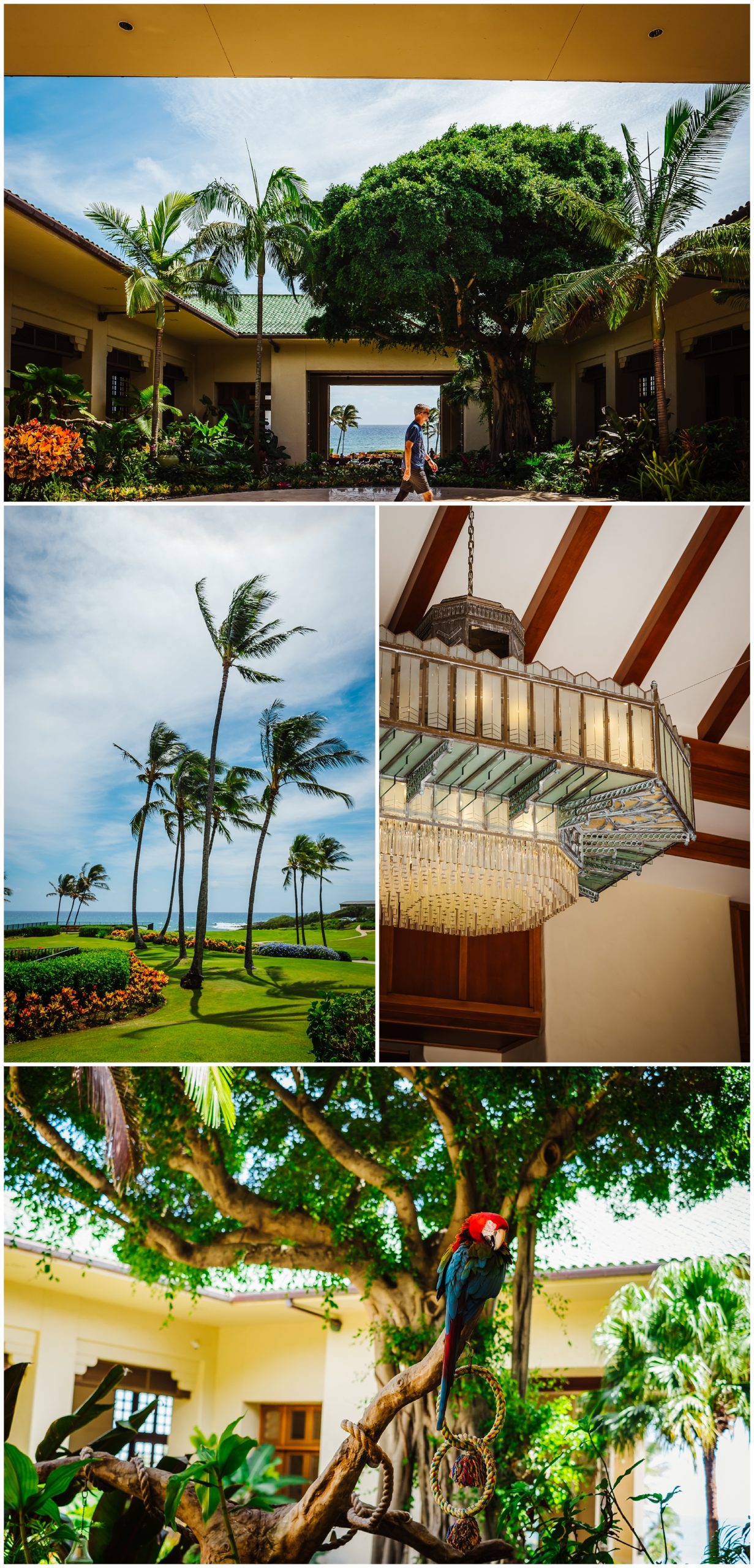 destination-wedding-hawaii-kauai-grand-hyatt-resort-napali-coast-sail_0024.jpg